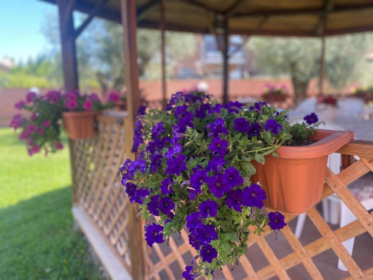 Bed & Breakfast Corvara Nettuno