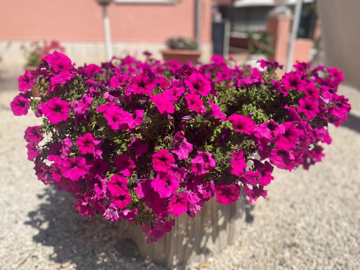 Bed & Breakfast Corvara *